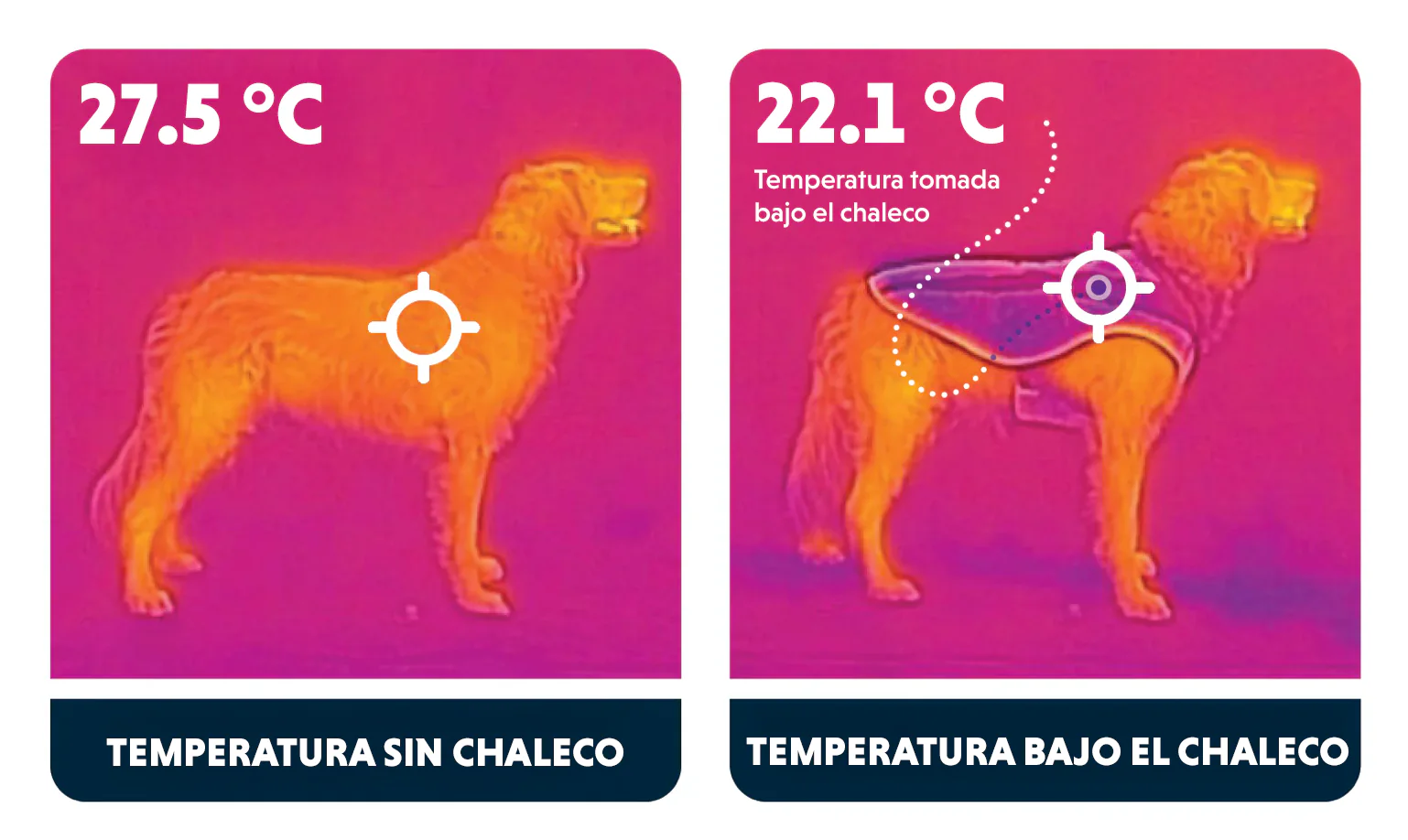 Swamp Cooler® Neck Gaiter Bandana de Enfriamiento para Perros - Gris (Graphite Gray) | Ruffwear® - Imagen 3