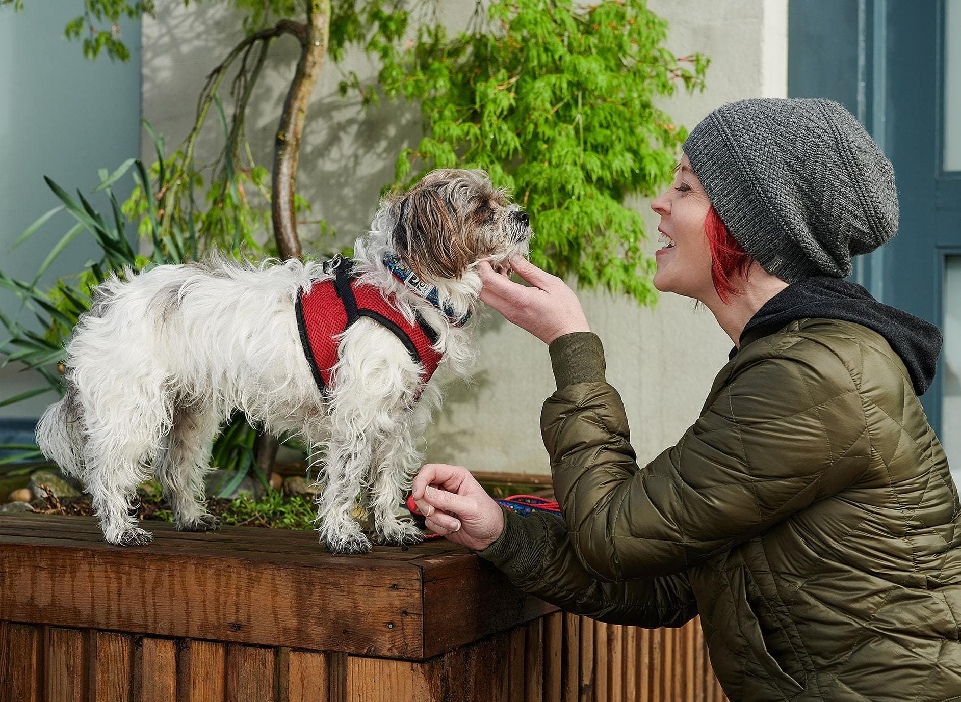 Correa para Perro Rainbow Paws - Imagen 3