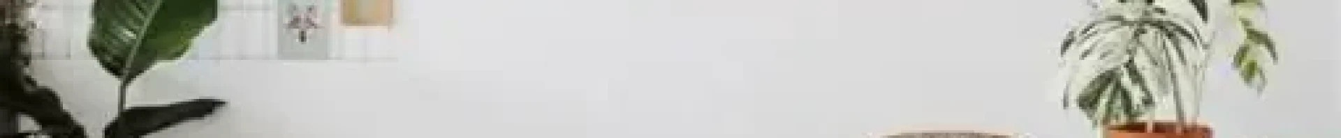 Compra Inteligente: Moda, Hogar y Todo lo que Necesitas con Rebajas